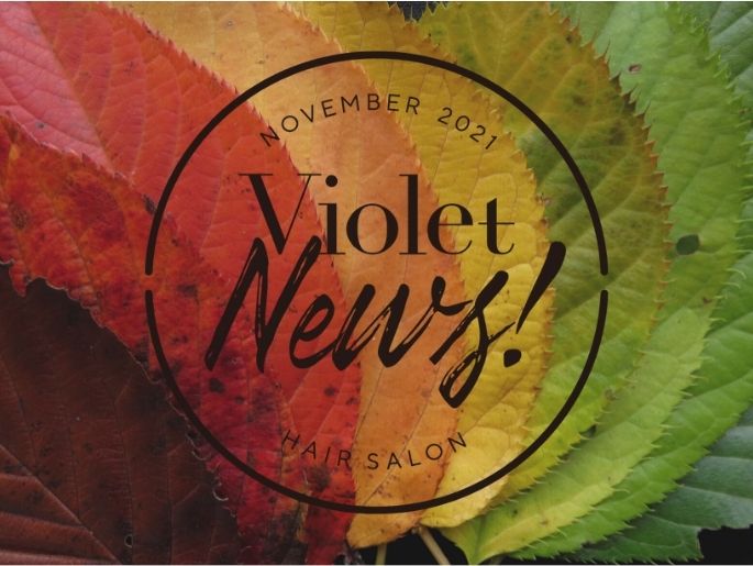 【Violet News! NOVEMBER 2021】