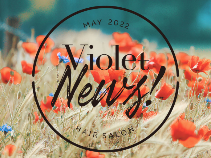 【Violet News! MAY 2022】