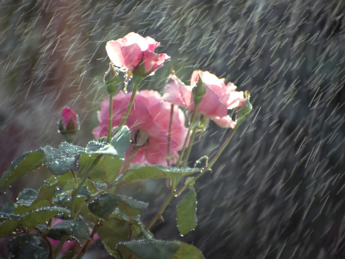 雨の日も無敵！美容師がリアルにやってる梅雨&湿気対策の前髪1分アレンジ