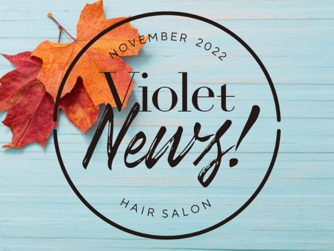 【Violet News! NOVEMBER 2022】