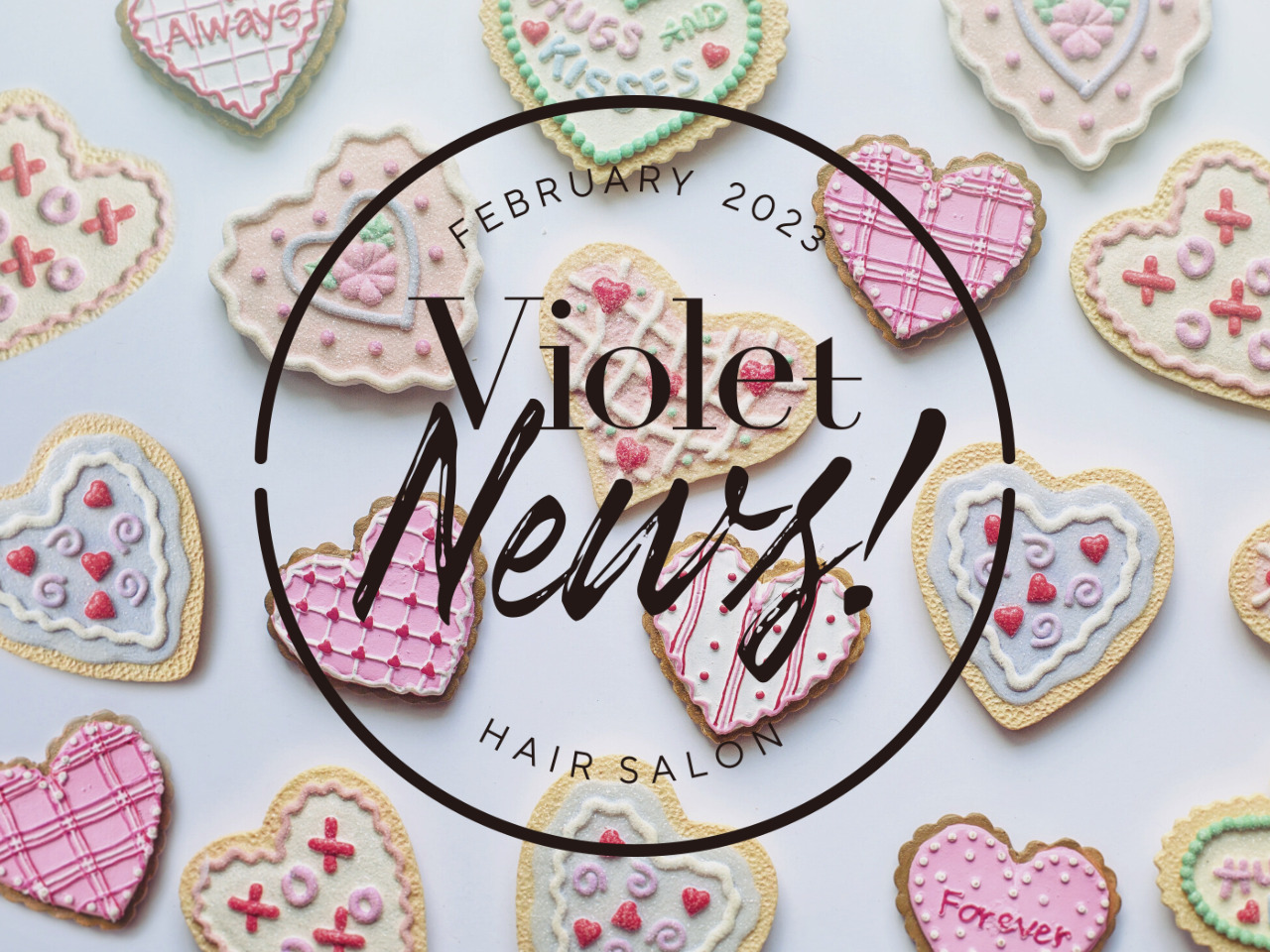 【Violet News! FEBRUARY 2023】