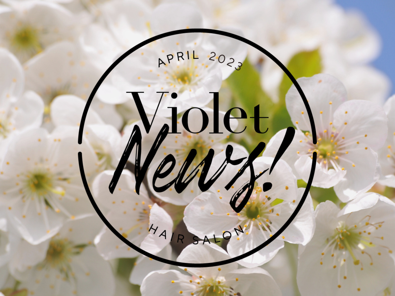 【Violet News! APRIL 2023】