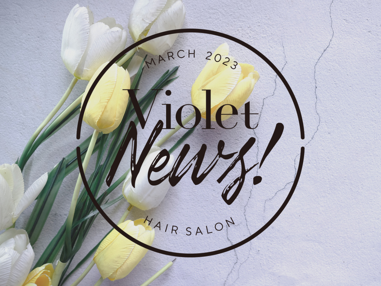 【Violet News! MARCH 2023】