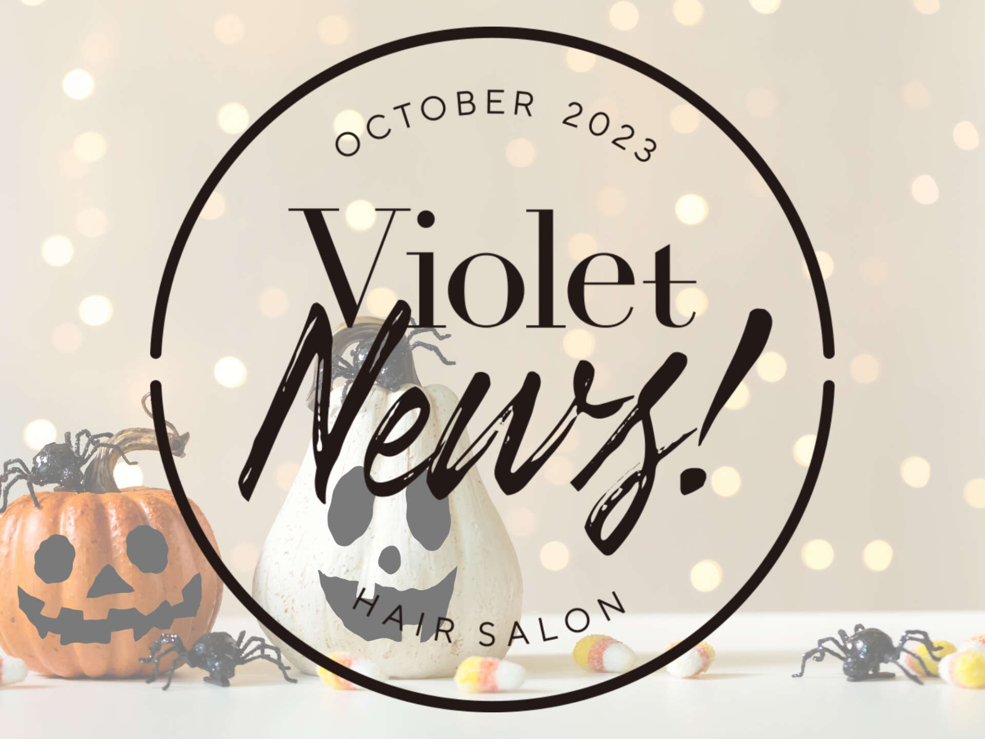 【Violet News! October 2023】