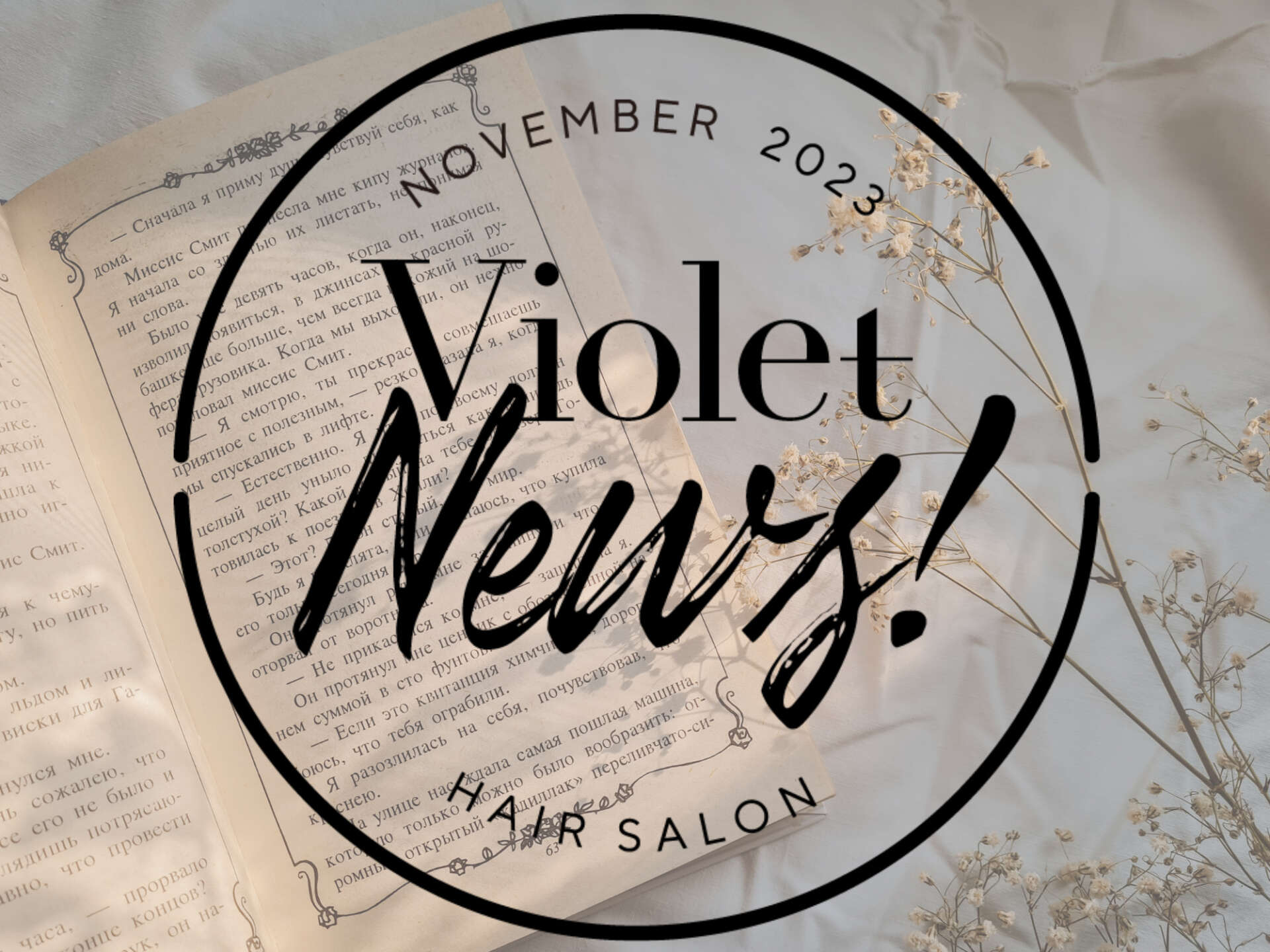 【Violet News!  NOVEMEBER 2023】