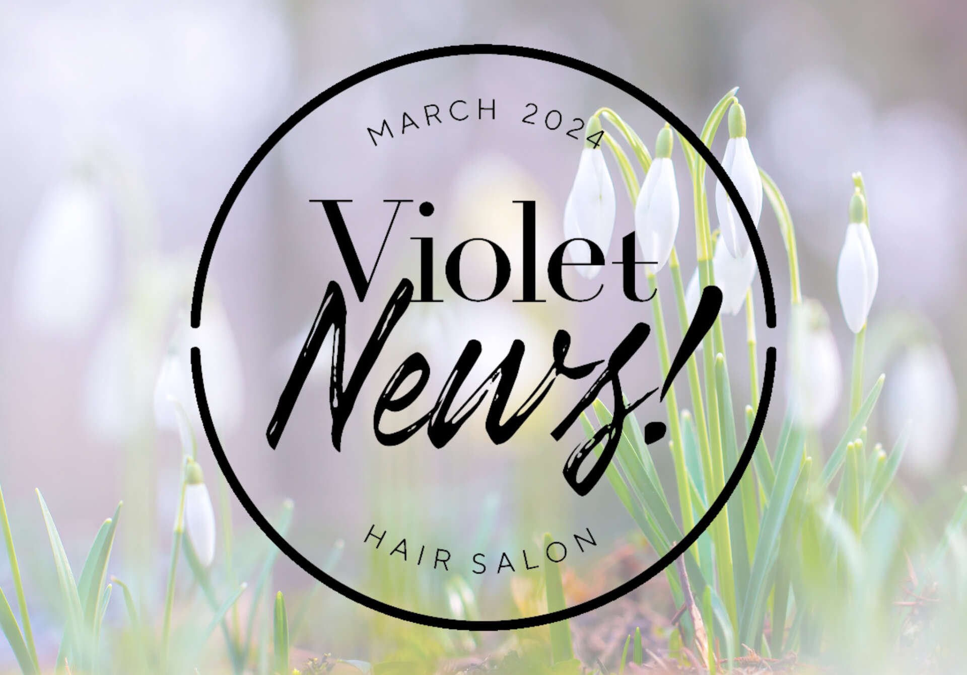 Violet News! MARCH 2024