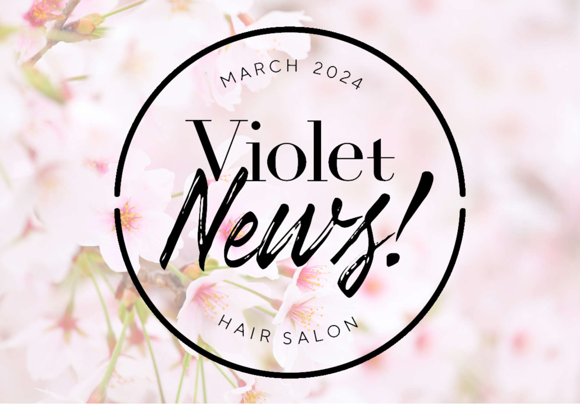 Violet News！April2024