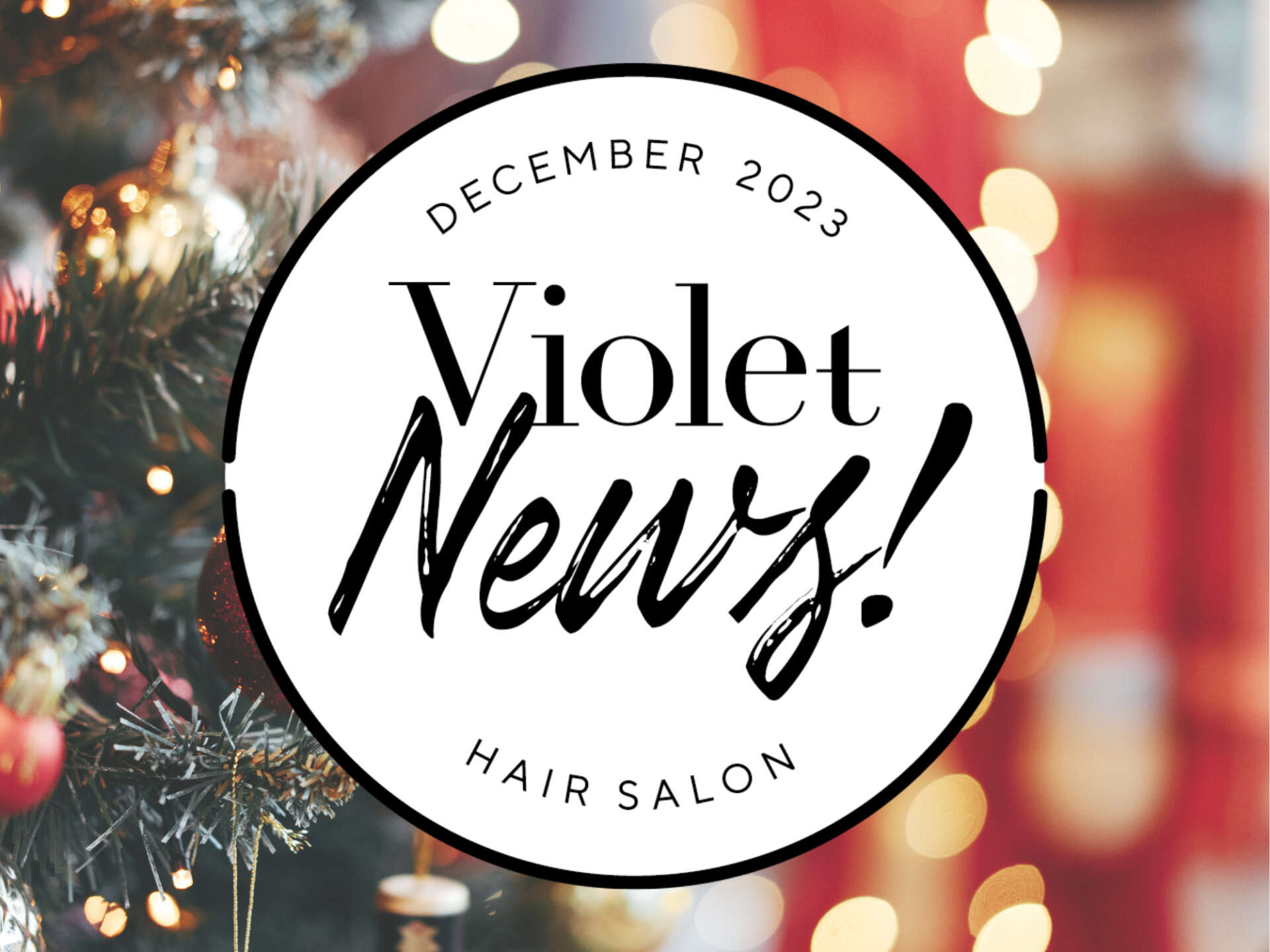 【Violet News!  DECEMBER 2023】