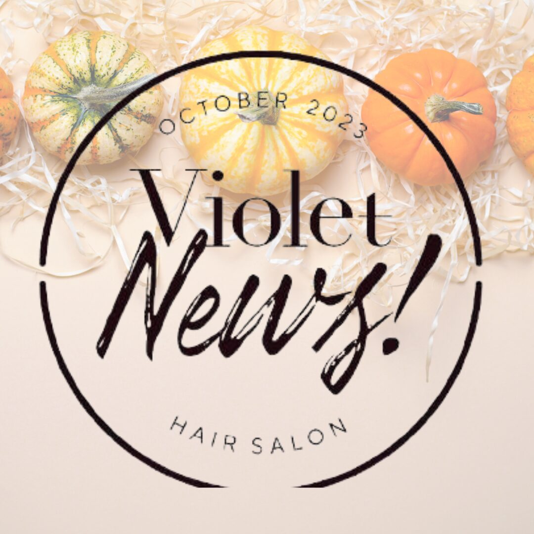 Violet NEWS！October 2024