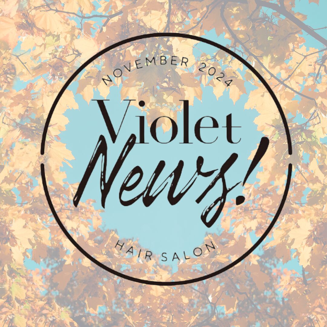 Violet NEWS！November 2024